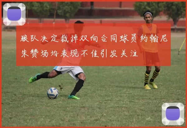 狼队决定裁掉双向合同球员约翰尼朱赞场均表现不佳引发关注